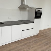 Tilburg, Wilhelminapark, 2-kamer appartement - foto 4