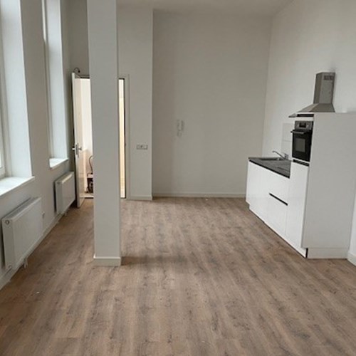 Tilburg, Wilhelminapark, 2-kamer appartement - foto 1